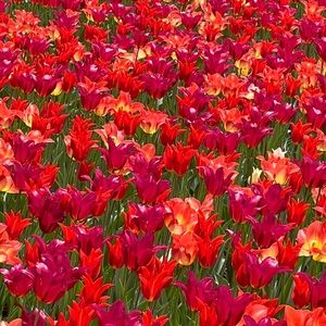 Meet your Posher, Justin